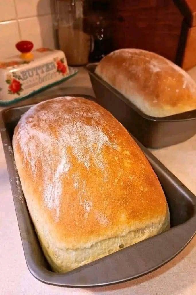 Brilliant No Knead Bread Recipe