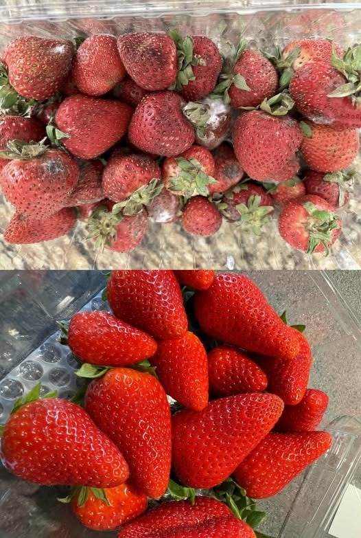 How to Keep Strawberries Fresh for Longer