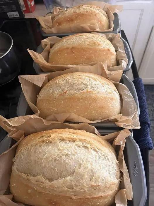 I can’t stop making sandwich bread
