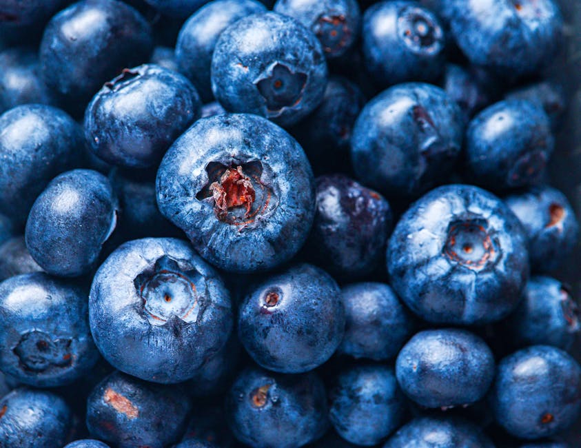 Boost Your Brain with the Paleo Diet