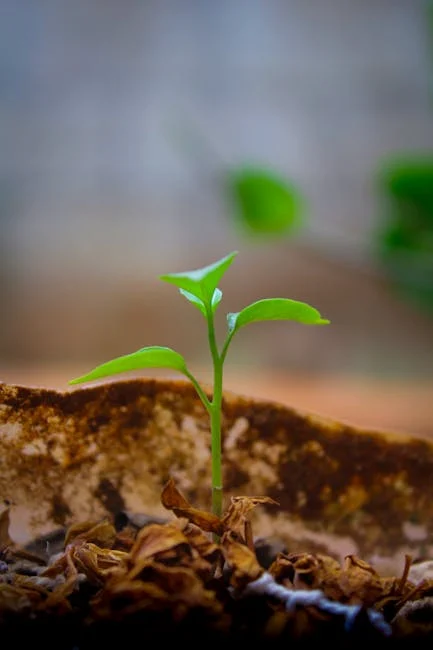 Paleo for ADHD and Focus: A New Hope?