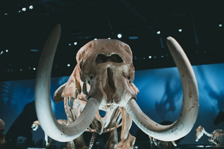 Paleo and Testosterone: What the Research Shows