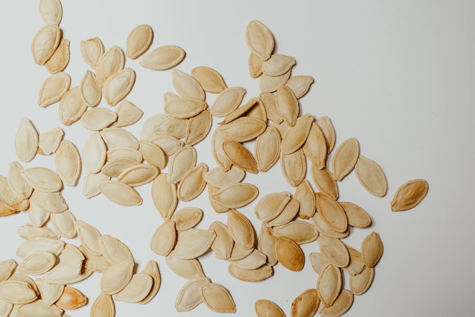 Paleo and Productivity: The Secret Diet Hack of High-Performing Entrepreneurs and CEOs