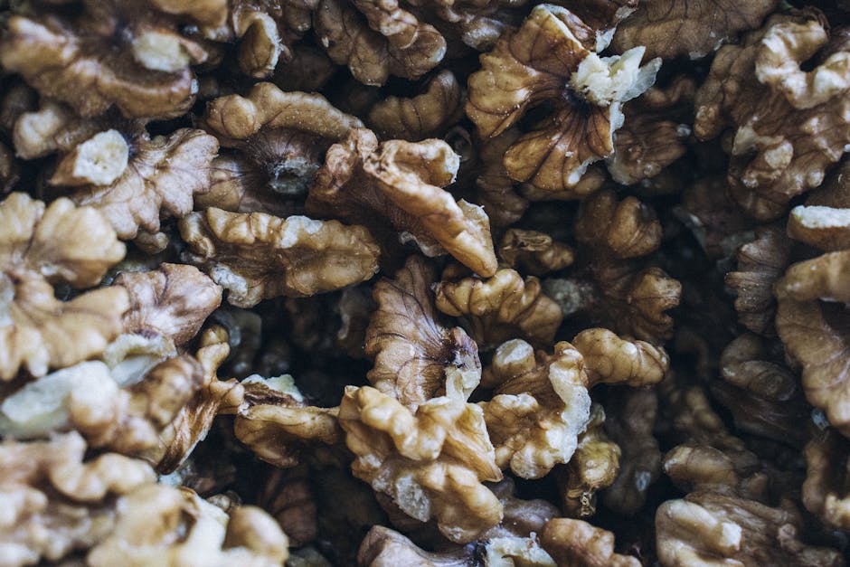 Why Paleo Is a Logical Next Step for Anyone Doing Keto But Seeking Sustainability