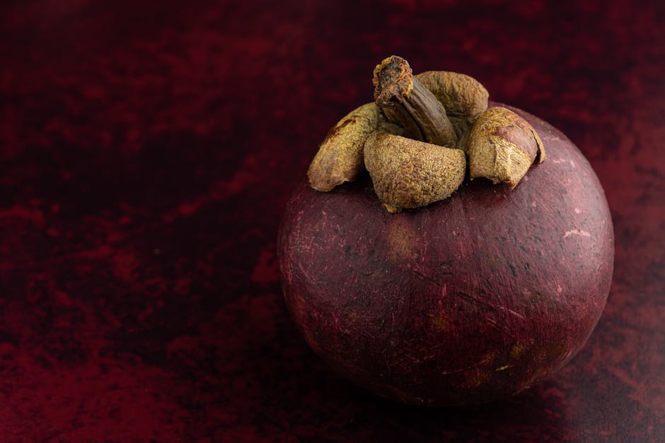 How the Paleo Diet Can Reduce Oxidative Stress and Improve Longevity