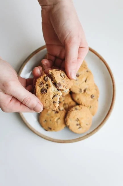 Homemade American Chocolate Chip Cookies