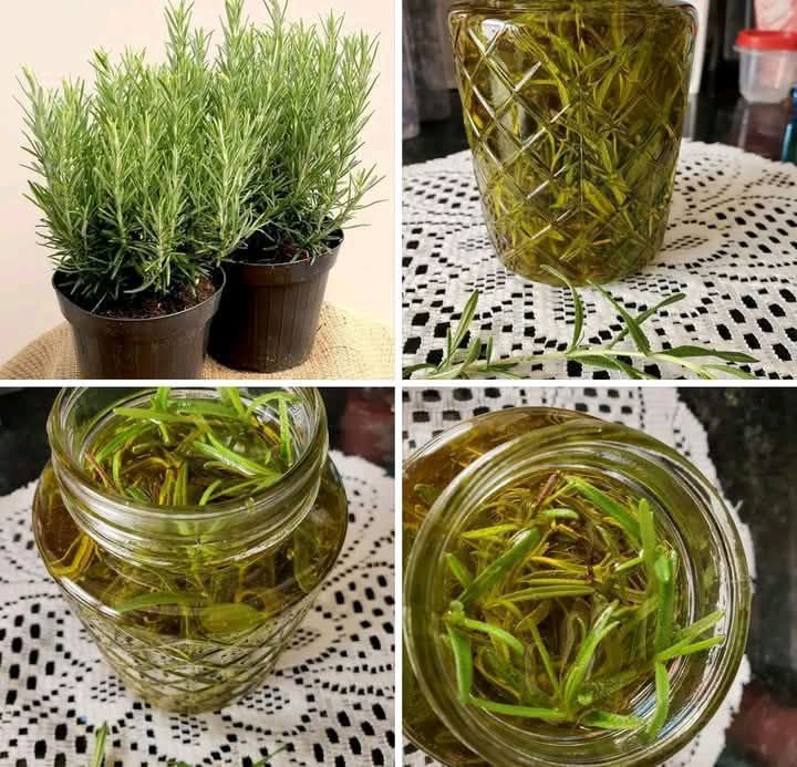 HOMEMADE ROSEMARY OIL