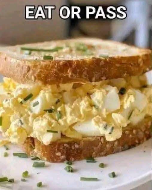 Egg Salad Sandwich  yay or Nay