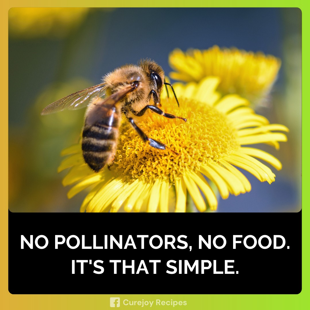 Start by planting bee-friendly herbs or skipping that pesticide spray