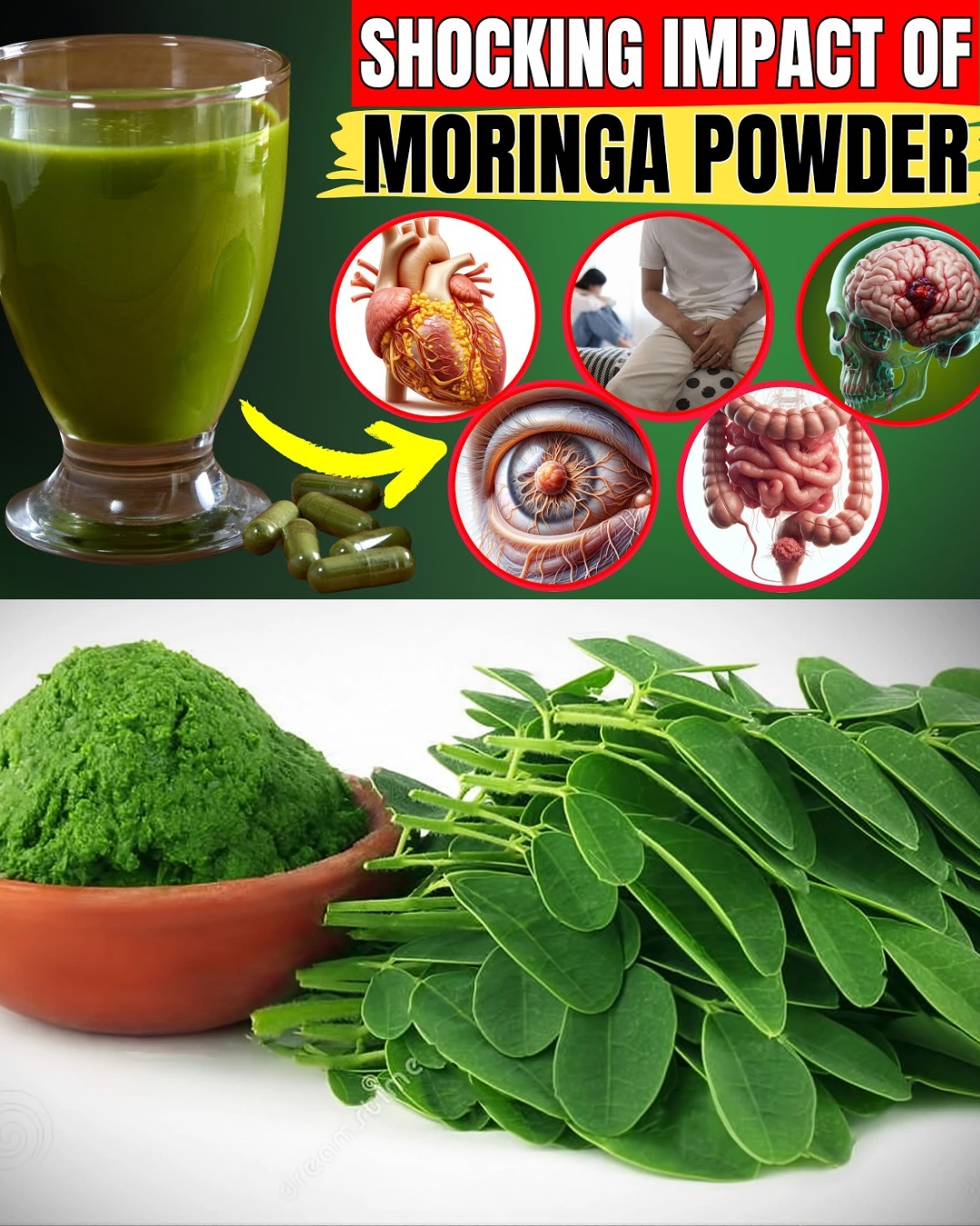 When You Eat Moringa Powder Every Day, Here’s What Happened to Your Body (Not What You Think).