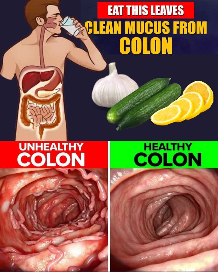 14 Life-Changing Ways to Keep Your Colon Healthy