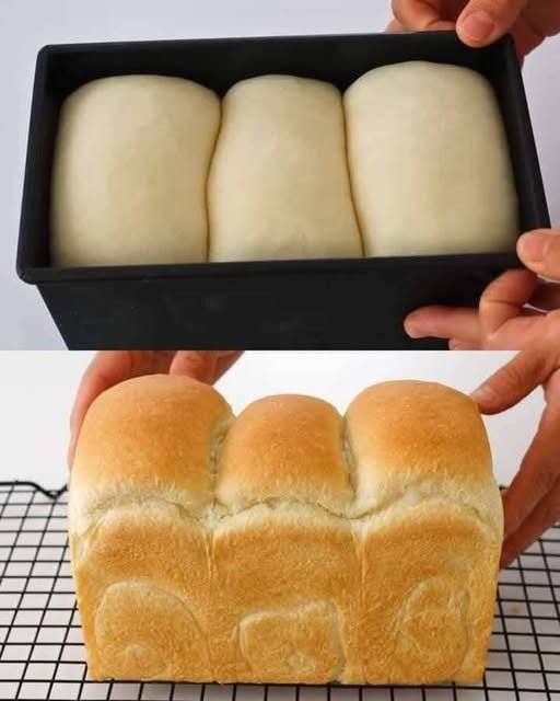 Easiest No-Knead Bread