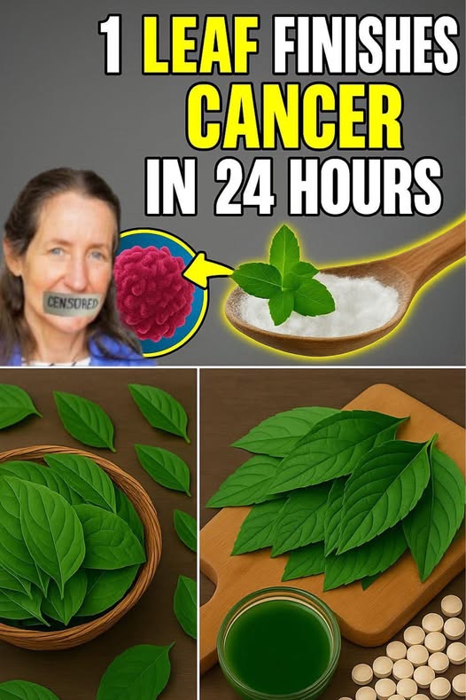 Pharmacies Will Never Reveal This Secret