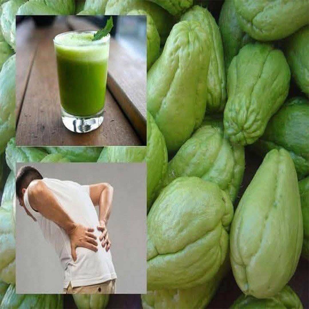 Benefits and Uses of Chayote Juice