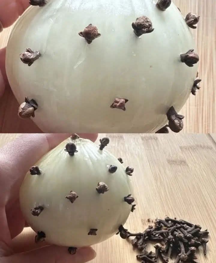 This is why grandma always puts cloves in an onion
