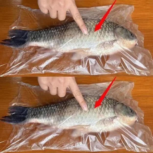How to Remove Fish Scales Using a Plastic Bag – The Genius Hack!