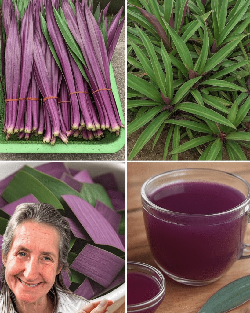 Say goodbye to urinary infections, asthma, diabetes, poor circulation, fatty liver, and hypertension. How to Prepare It…..