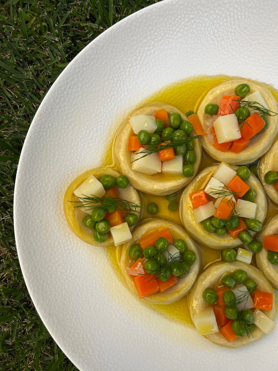 Plant-Based Diet Recipes: Complete Guide, Tips, and Recipes